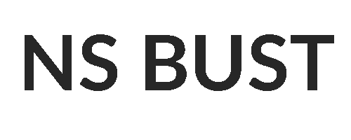 NS BUST Logo Alt